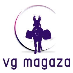 VG Magaza logo
